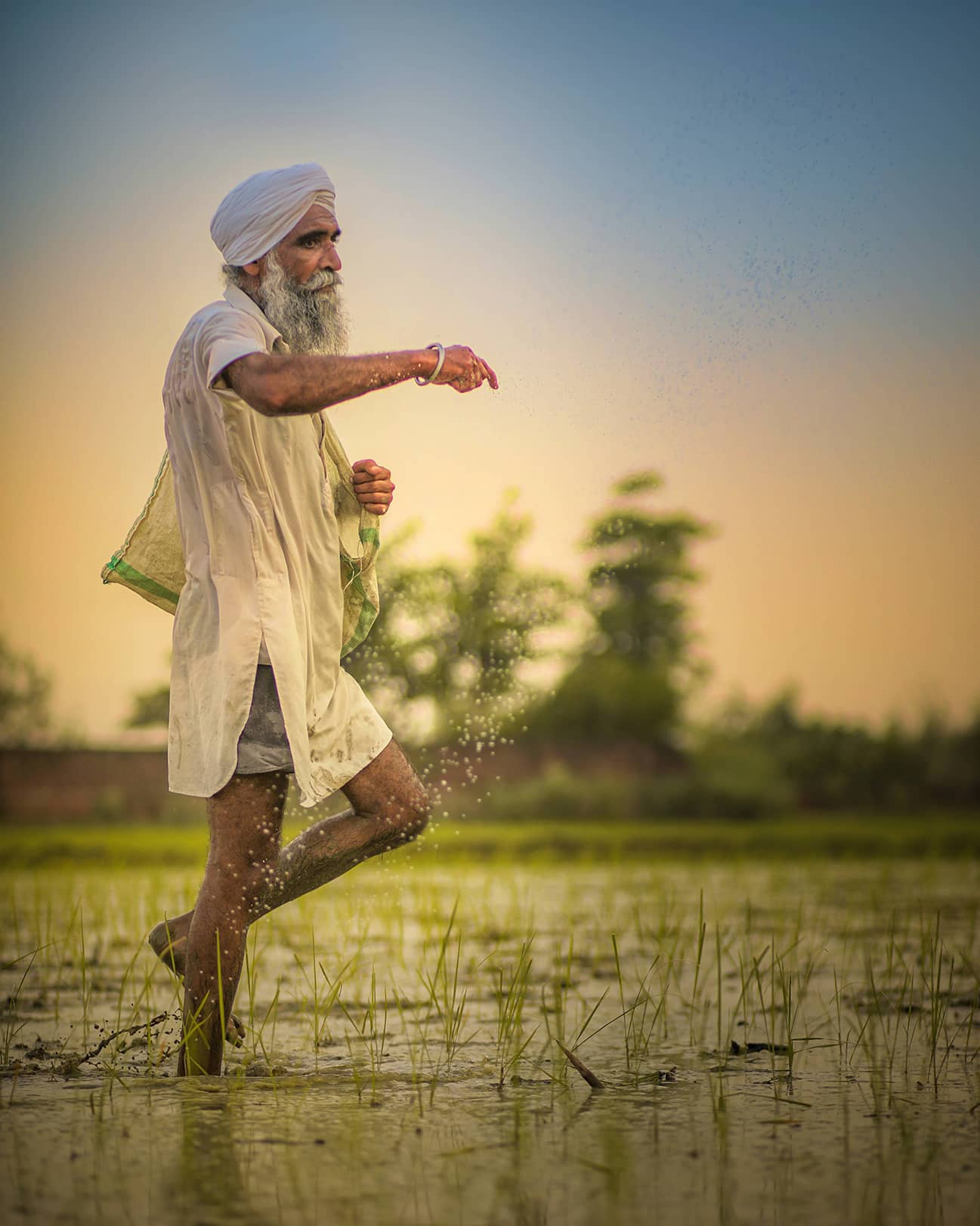 Karoon Basmatiris Värderingar